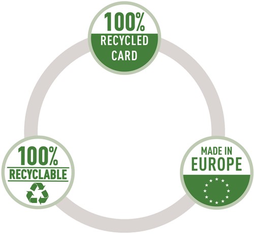 Sorteermap Leitz Recycle 12 tabs karton zwart-3