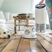 Filter koolstof huisdieren voor Leitz TruSens Z-2000-3