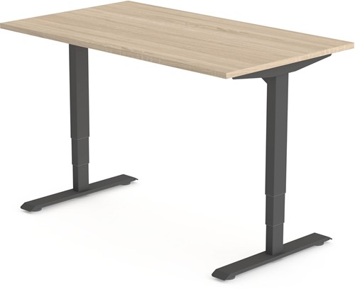 Bureau Flex zit-sta bureau